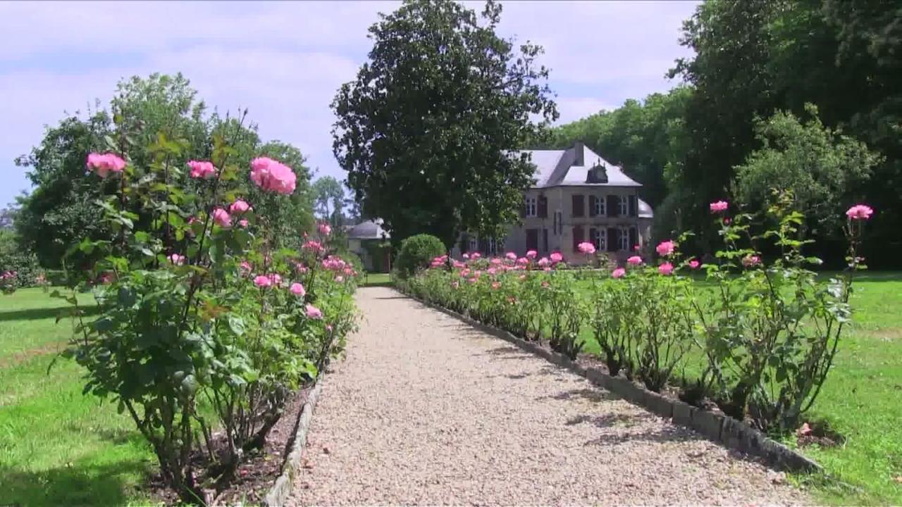 Chateau D'Urtubie Urrugne Εξωτερικό φωτογραφία